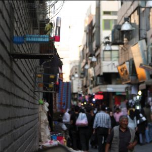 خط ۱۱ کشف تهران