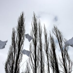 عکسی از مهدی مقیم نژاد