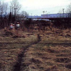 jeff wall the crooked path جف وال راه خمیده