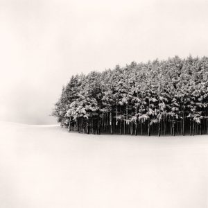 مایکل کنا بیشه‌زار سفید، هوکاییدو، ژاپن ۲۰۰۴ michael kenna