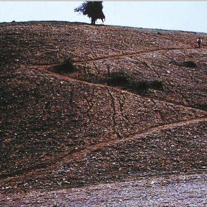 نمایی از فیلم خانه دوست کجاست؟ عباس کیارستمی