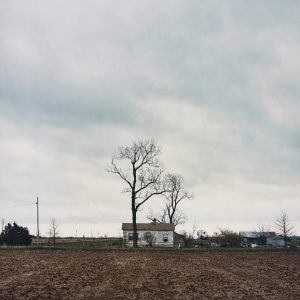 الک ساث کلبهی بچهگیهای جانی کش alec soth