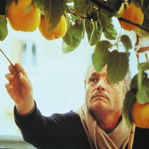 خورشید درخت به ویکتور اریس مستندی دربارهی آنتونیو لوپز گارسیا-۱۹۹۲