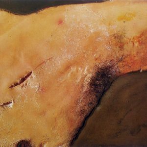 اثری از آنتونی تاپیس