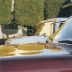 اگلستون، ویلیام اگلستون، William Eggleston، عکاسی