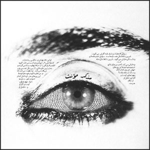 شیرین نشاط/Shirin Neshat/هنر جدید/اگزوتیک/exotic/هنرمندان معاصر ایران/هنر معاصر ایران/ نقد هنری