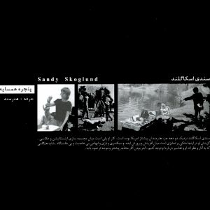 سندی اسکاگلند /Sandy Skoglund/ عکاسی/ عکاسی صحنهپردازی شده
