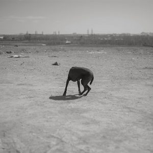 عکسی از محسن شاهمردی