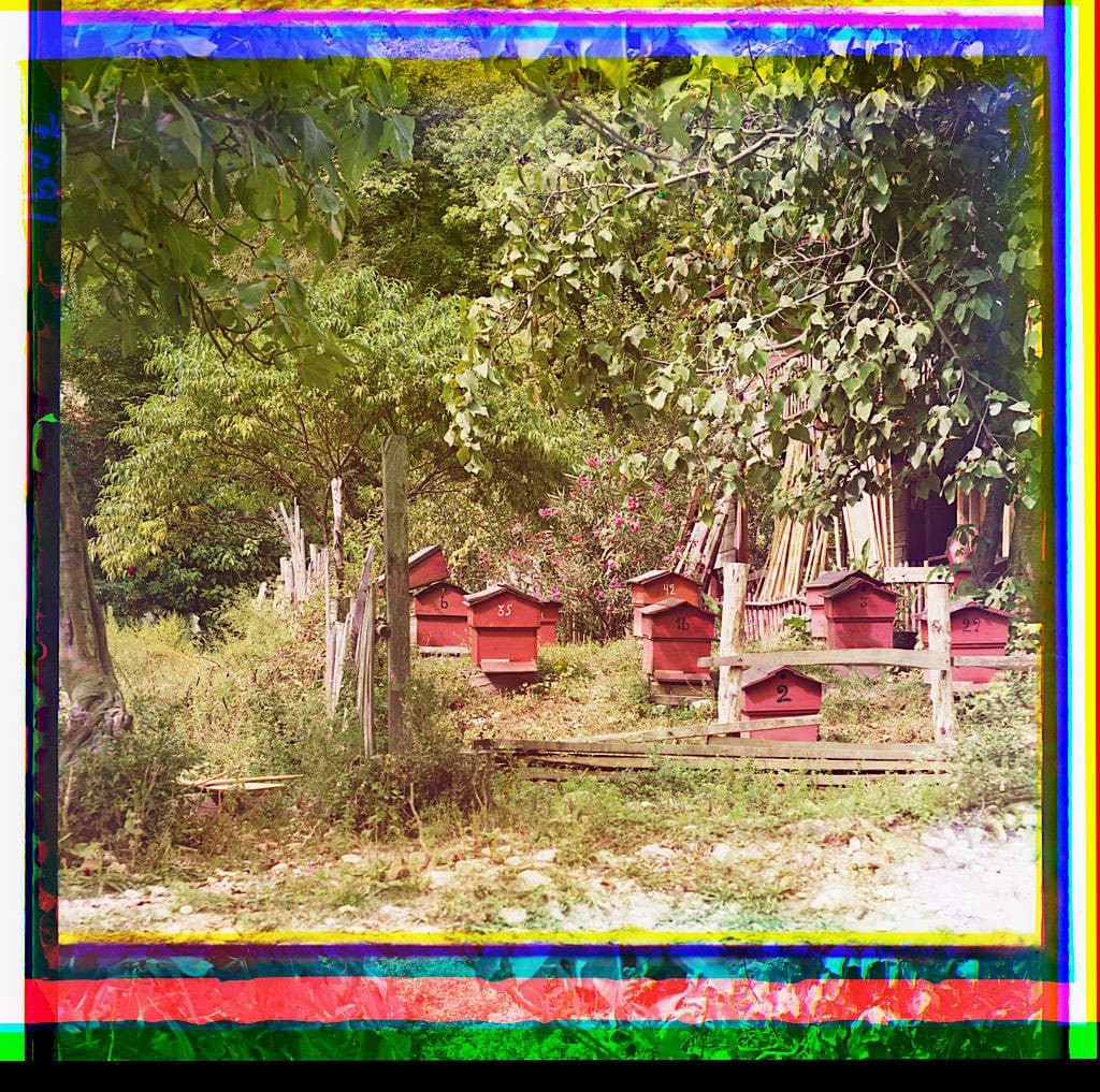 کندوهای پرورش زنبور، روستای گاژرا / ۱۹۱۲ م.