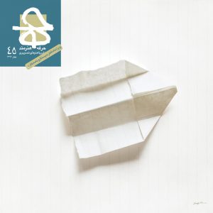 فصلنامه 45