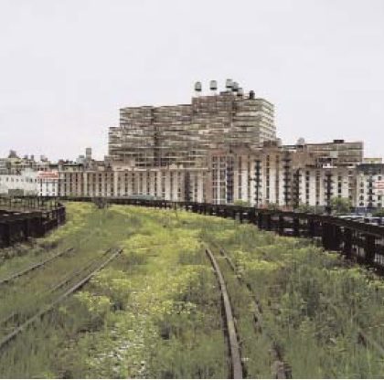 مجید اخگر
