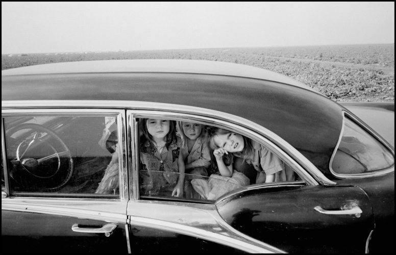 پل فیوسکو، مجموعه‌ی «اعتصاب انگورکاران کالیفرنیا»، کالیفرنیا، امریکا، 1968 م.